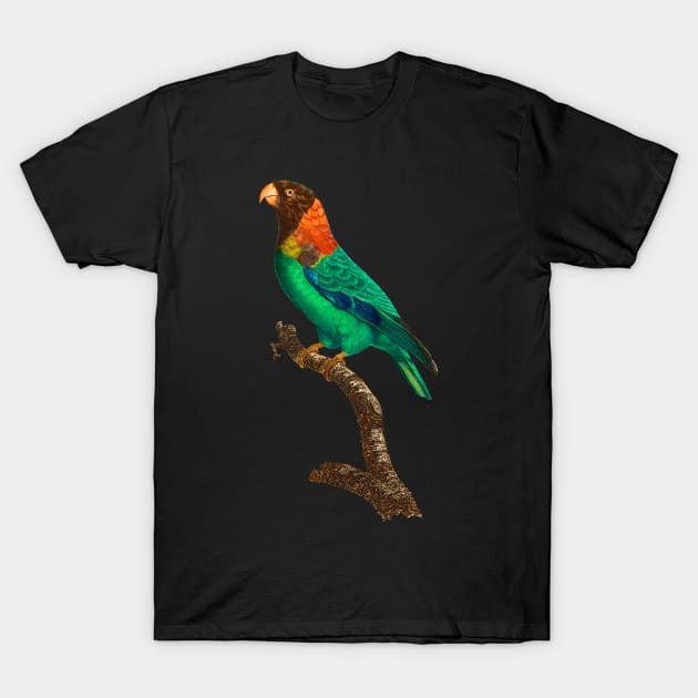 Black Panther Art - Beautiful Parrot 3 T-Shirt by The Black Panther